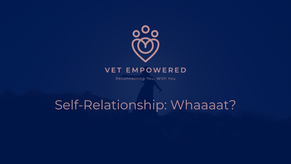 SelfRelationship Replay by Vet Empowered